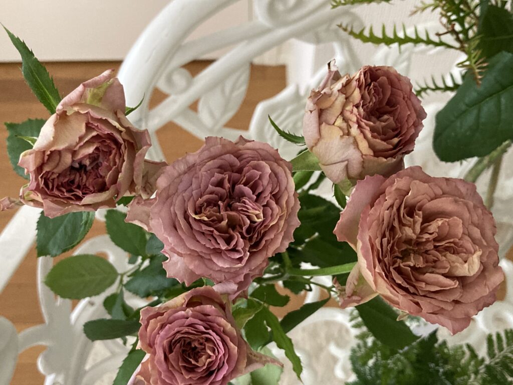 Roseテナチュール