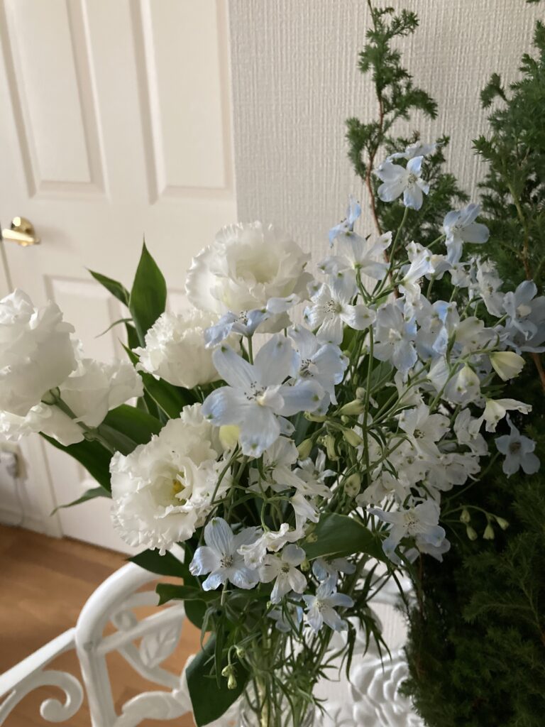 Delphinium
super chiffon blue