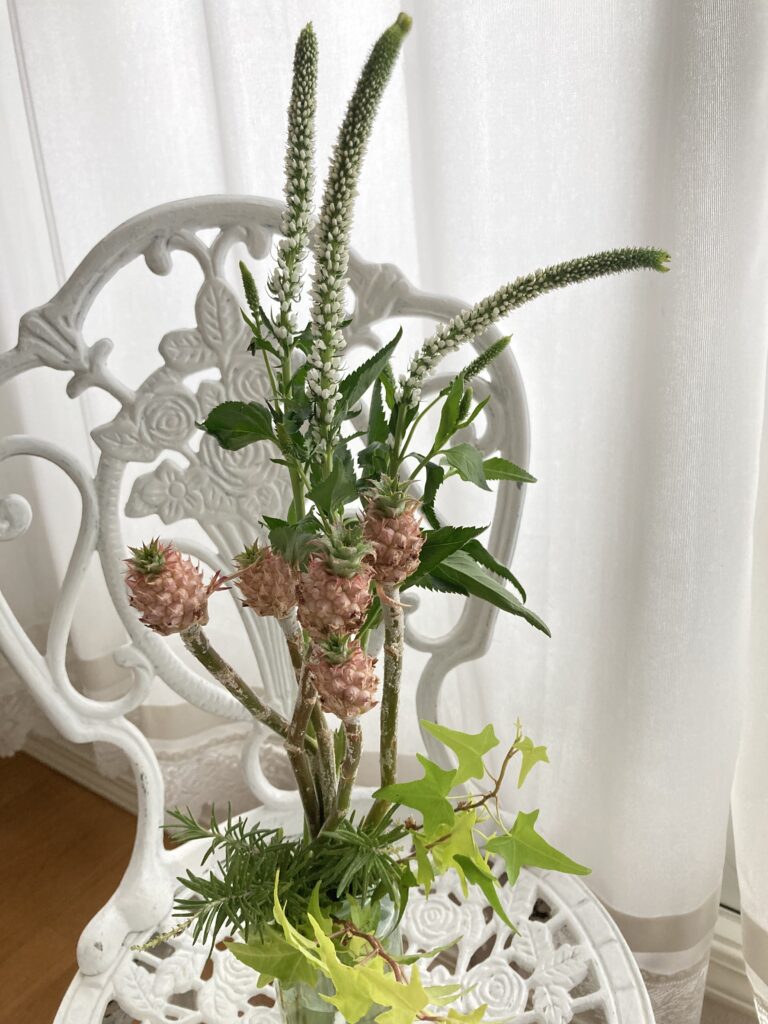 veronica(white victory)
mini pineapple