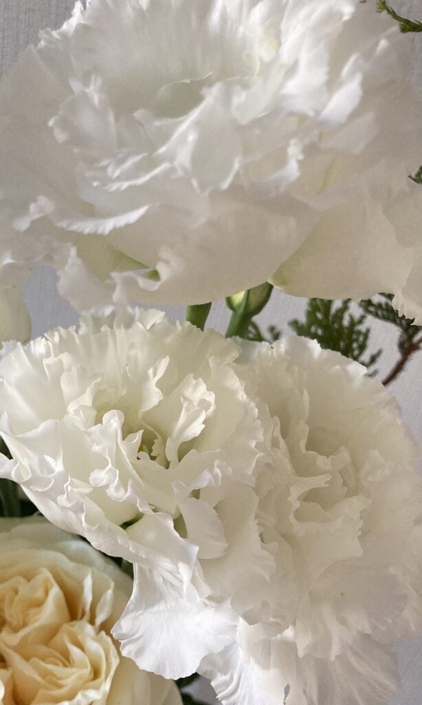 Lisianthus(makia dia)