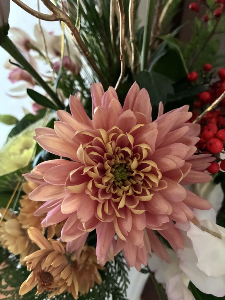 デコラマム（アリョンカ）