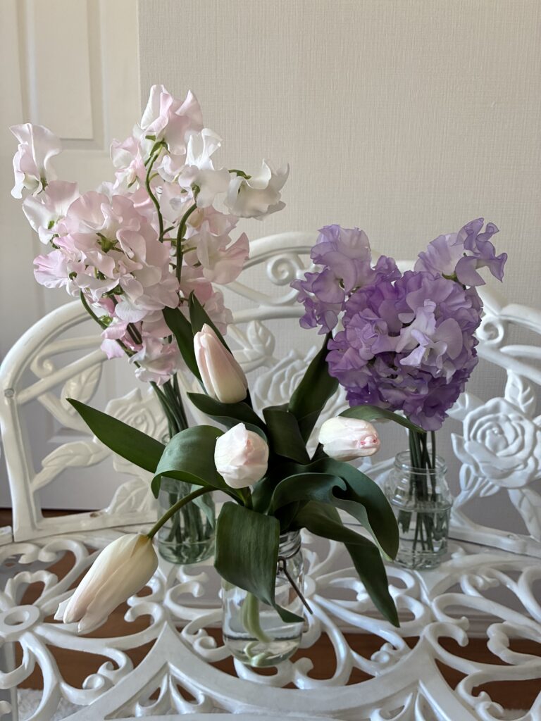 sweet pea（Sakura pink）
sweet pea（Persian blue）
tulip（Holland chic）