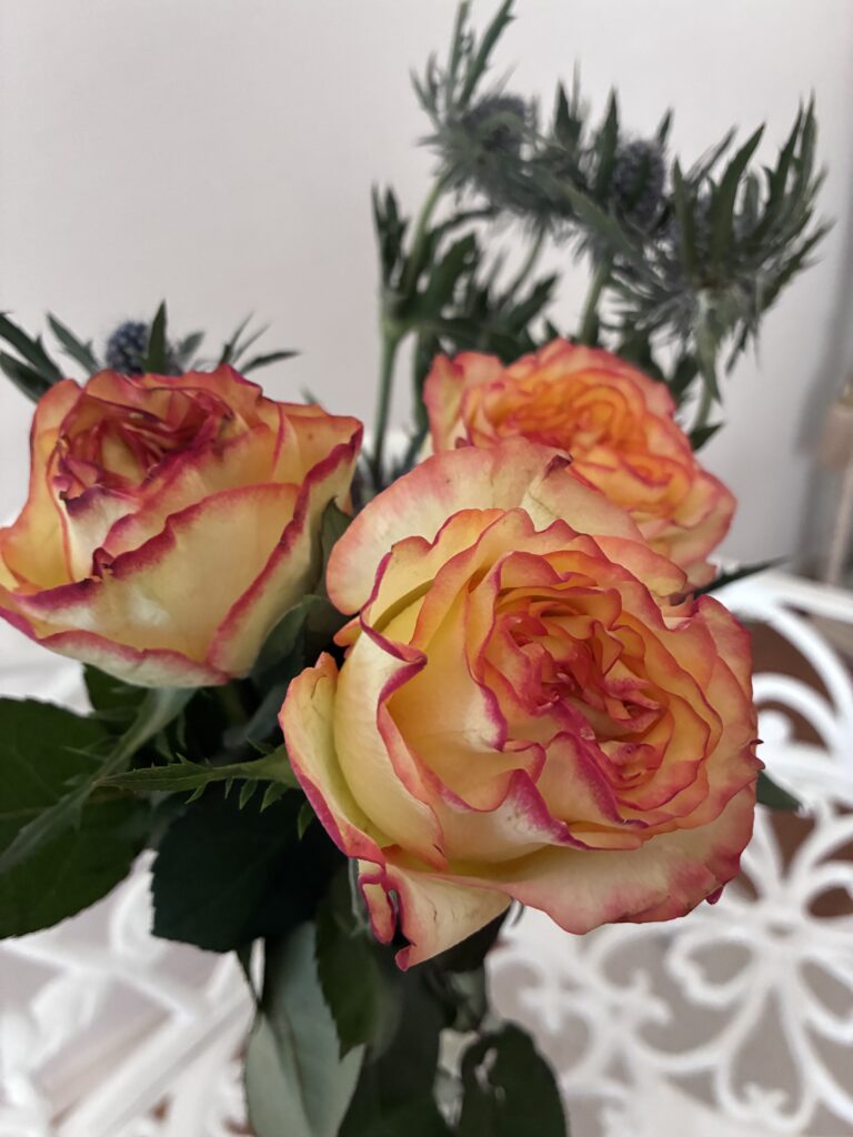 rose 〜Maria Carmen