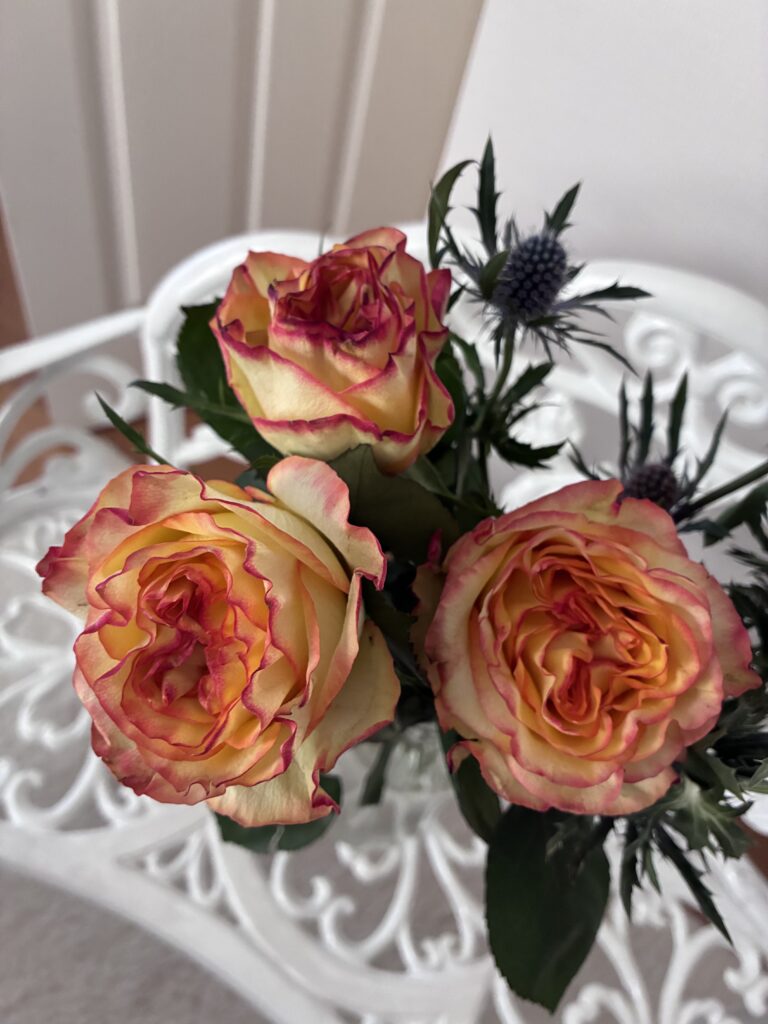 rose〜Maria Carmen