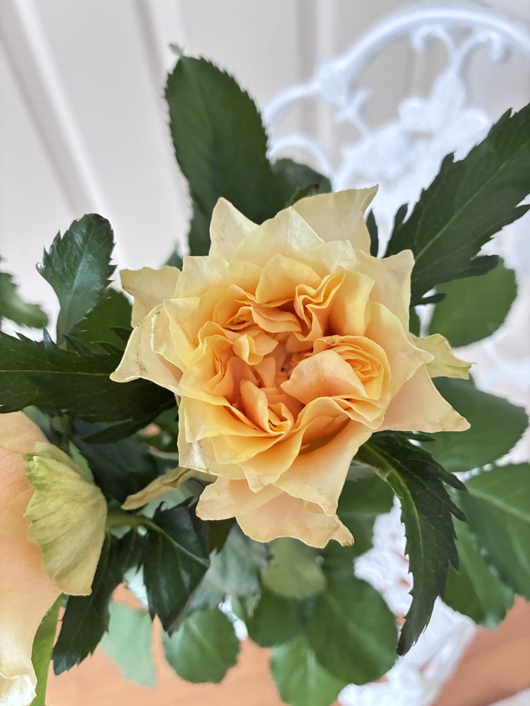 Rose〜fossette pink