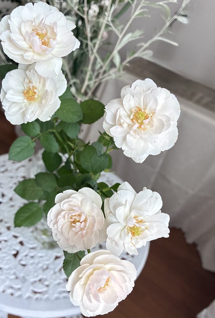 spray rose〜bridal seven star rose